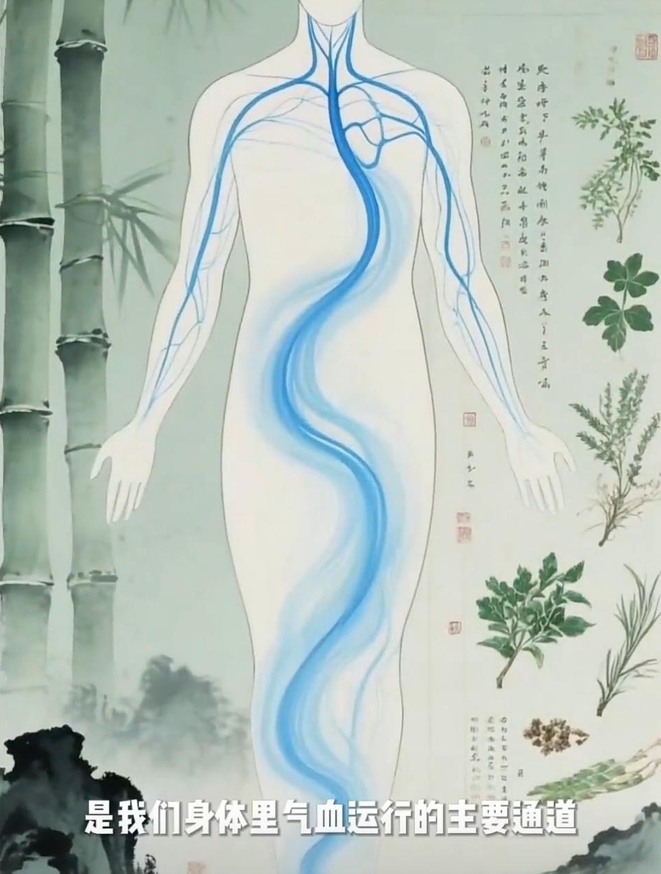 WhatsApp Image 2025-09-27 at 10.54.59 (4)